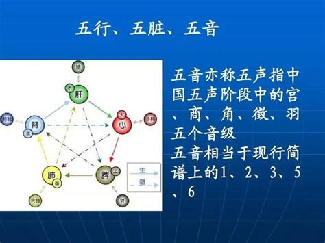 音樂五行|五行能量養生音樂